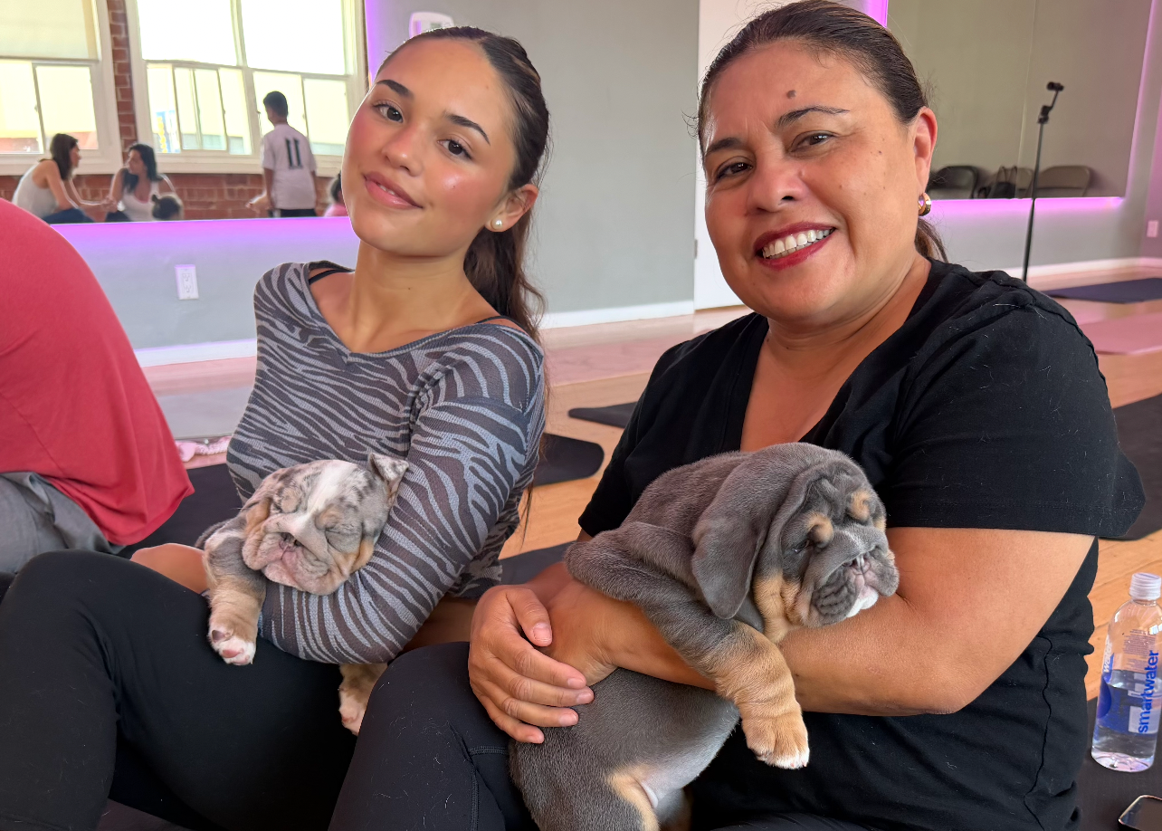 A Very LA Day: Puppy Yoga, Beverly Hills Lunch & Frozen Coffee